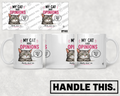 HT7003 My Cat Has Opinions mug mockup