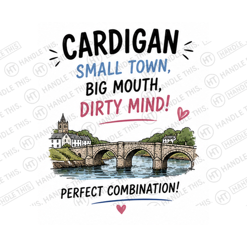 Cardigan Small Town Big Mouth Dirty Mind Perfect Combination Mug - Welsh Local Gift