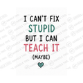 I Can't Fix Stupid But I Can Teach It Mug - Office Humour Gift