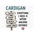 Cardigan Everything Castle River Beach Good Times 1 Need Mug - Welsh Local Gift