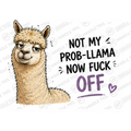 Not My Pro Llama Now Fuck Mug - Funny Rude Gift